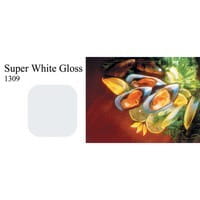 TŁO COLORGLOSS SUPERWHITE 1X1,3m