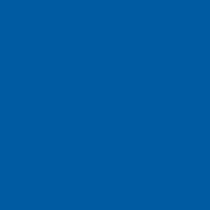 ROYAL BLUE - tło Colormatt 100 x 130 cm