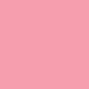 CARNATION - tło kartonowe 1,35 x 11m