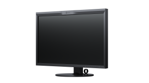 Monitor EIZO ColorEdge CG319X 