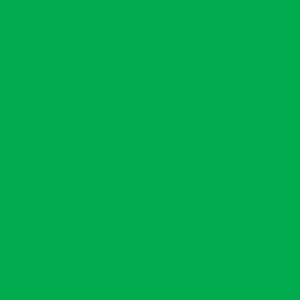 SPRING GREEN - tło Colormatt 100 x 130 c