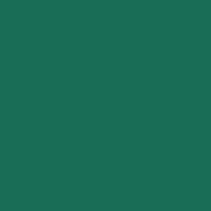 SPRUCE GREEN - tło kartonowe 1,35 x 11m
