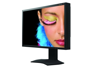 NEC SpectraView 232