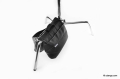 SANDBAG-UDENGO-BIG-4402-zakupfoto-pl-04.jpg