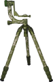 01_124869.png