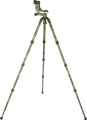 05_124869.png
