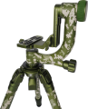 06_124869.png