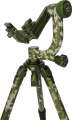 08_124869.png