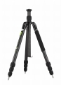 Genesis_C3_szary_2.jpg