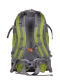 Genesis_Denali_Green_2.jpg