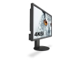 NEC_EA275UHD_RT_RGB_300_owl.jpg