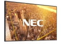 NEC_C501_Rt_RGB_ContentCityLogo_1600x1200.jpg