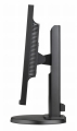 E241N_Lt_Profile_RGB+300.jpg