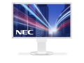 EA244UHD-DisplayFrontalWhite-CityContent.jpg